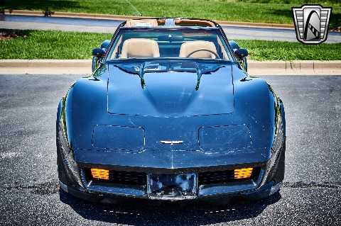 1981 Chevrolet Corvette image 24
