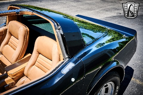 1981 Chevrolet Corvette image 52