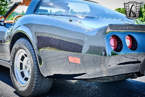 1981 Chevrolet Corvette image 53