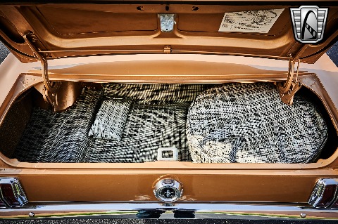 1965 Ford Mustang image 110