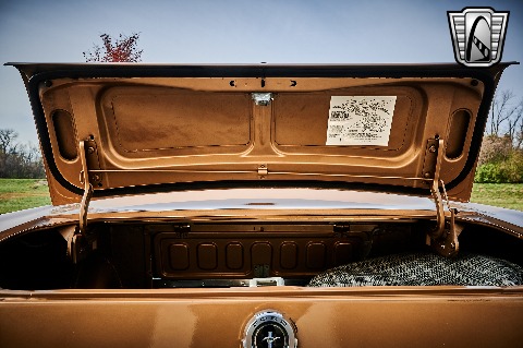 1965 Ford Mustang image 114