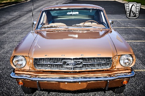 1965 Ford Mustang image 41