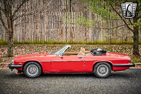 1990 Jaguar XJS image 6
