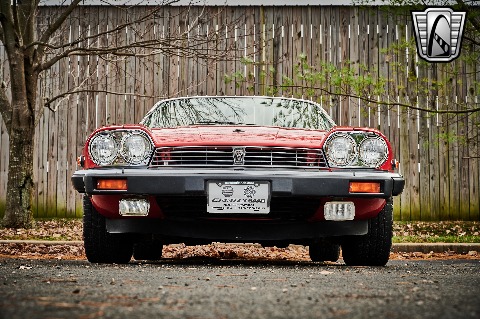 1990 Jaguar XJS image 26