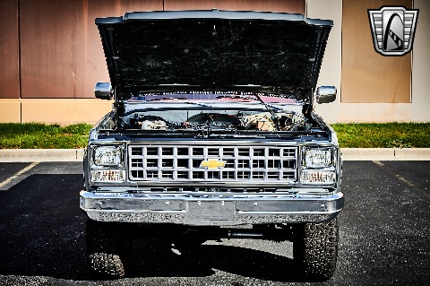 1979 Chevrolet K10 image 108