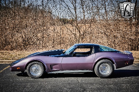 1979 Chevrolet Corvette image 6