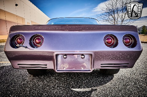 1979 Chevrolet Corvette image 59