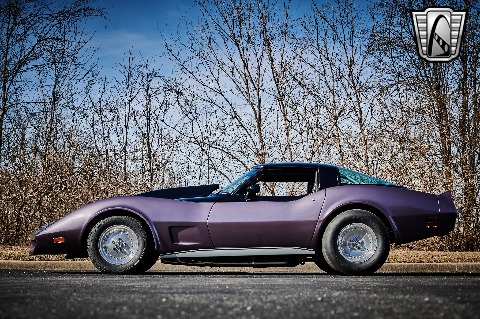 1979 Chevrolet Corvette image 8