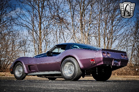 1979 Chevrolet Corvette image 11