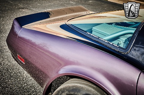 1979 Chevrolet Corvette image 65