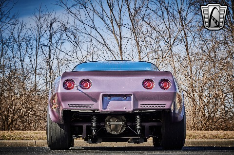 1979 Chevrolet Corvette image 14