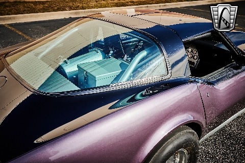 1979 Chevrolet Corvette image 66