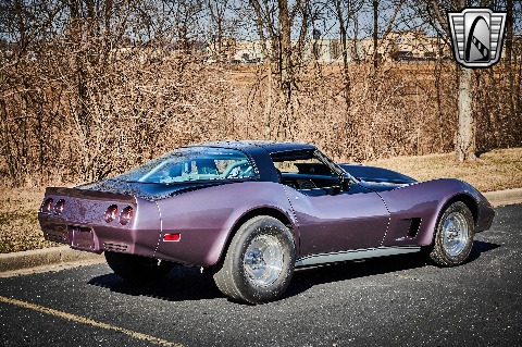 1979 Chevrolet Corvette image 15