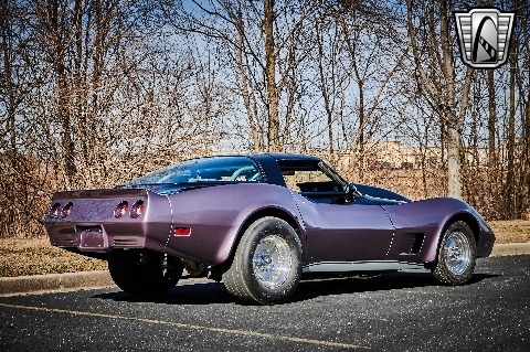 1979 Chevrolet Corvette image 16