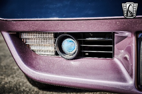 1979 Chevrolet Corvette image 43