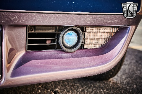 1979 Chevrolet Corvette image 44