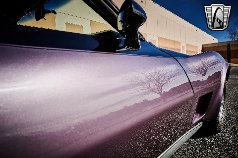 1979 Chevrolet Corvette image 70