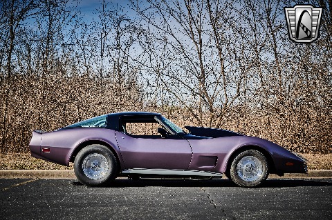 1979 Chevrolet Corvette image 19