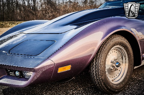 1979 Chevrolet Corvette image 45