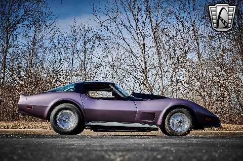 1979 Chevrolet Corvette image 20