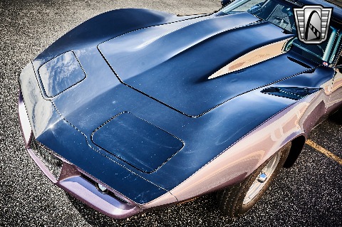 1979 Chevrolet Corvette image 46