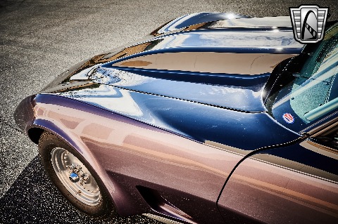 1979 Chevrolet Corvette image 47