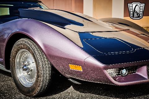 1979 Chevrolet Corvette image 75