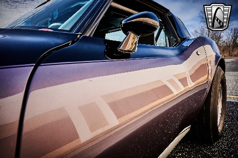 1979 Chevrolet Corvette image 51