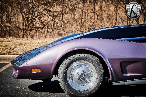 1979 Chevrolet Corvette image 27