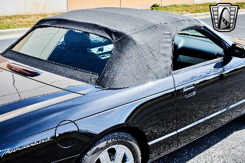 2004 Ford Thunderbird image 81