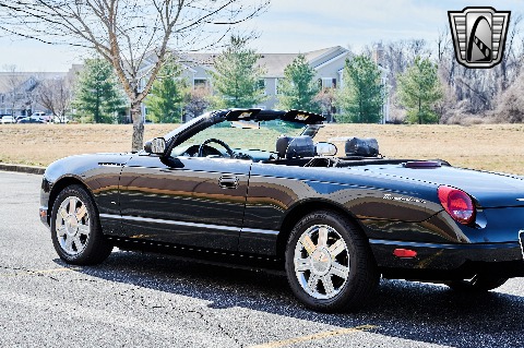 2004 Ford Thunderbird image 35