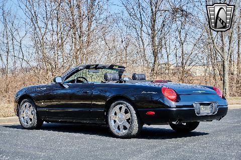2004 Ford Thunderbird image 10
