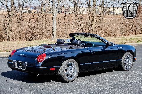 2004 Ford Thunderbird image 15