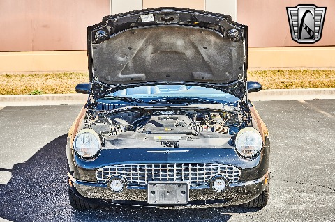 2004 Ford Thunderbird image 121