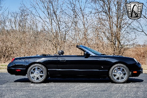 2004 Ford Thunderbird image 19