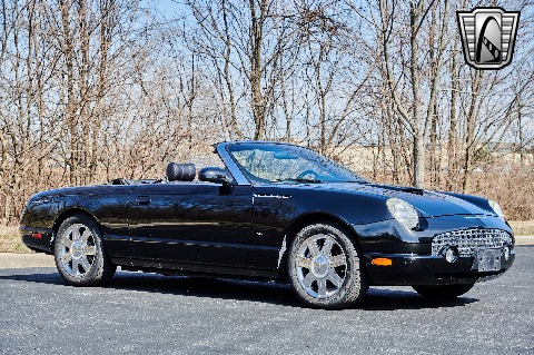 2004 Ford Thunderbird image 22