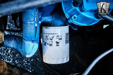 1966 Ford Mustang image 122