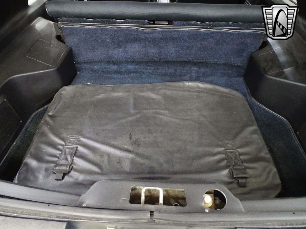 1979 Ford Mustang 29