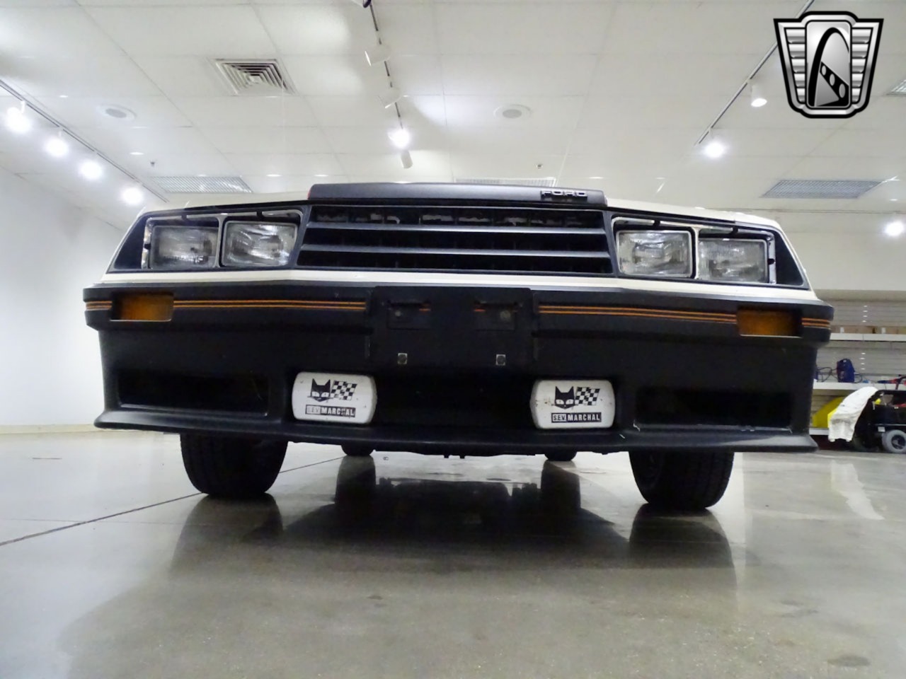 1979 Ford Mustang 48