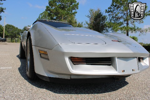 1981 Chevrolet Corvette image 29