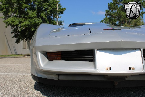 1981 Chevrolet Corvette image 31