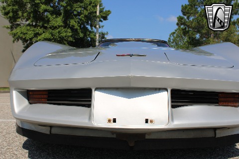 1981 Chevrolet Corvette image 32