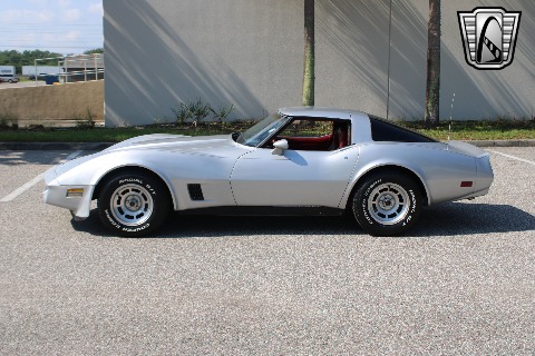 1981 Chevrolet Corvette image 9