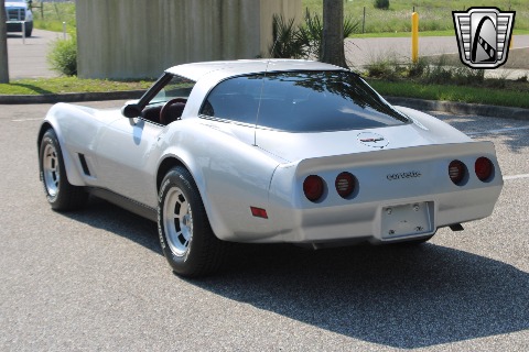 1981 Chevrolet Corvette image 12