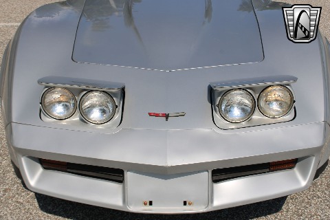 1981 Chevrolet Corvette image 39