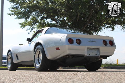 1981 Chevrolet Corvette image 14