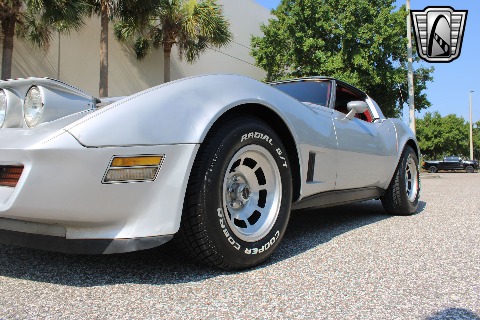 1981 Chevrolet Corvette image 40