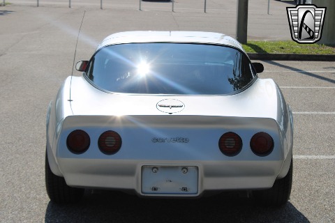 1981 Chevrolet Corvette image 15