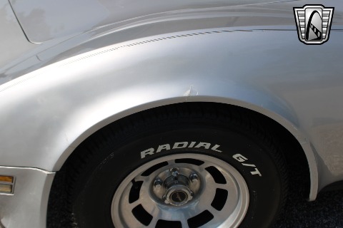 1981 Chevrolet Corvette image 41