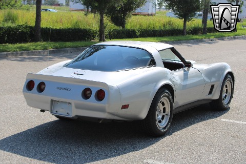1981 Chevrolet Corvette image 18